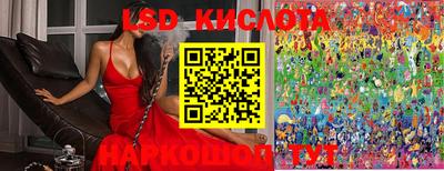 молекула духа Нальчик