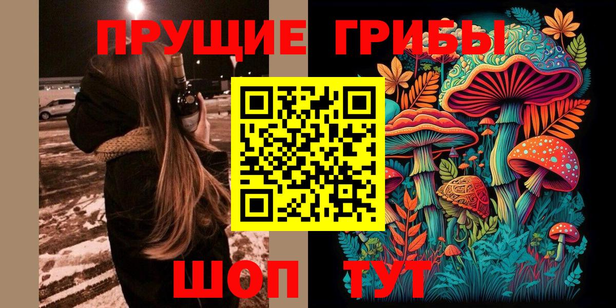 Псилоцибиновые грибы мухоморы Петропавловск-Камчатский