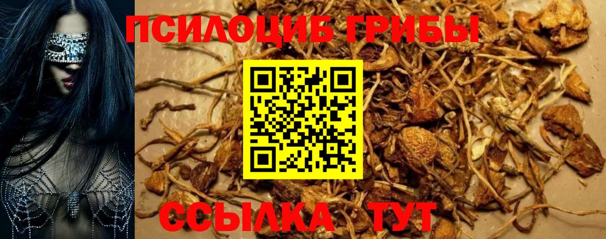 Петропавловск-Камчатский  Псилоцибиновые грибы GOLDEN TEACHER  как найти закладки  Вход с VPN 